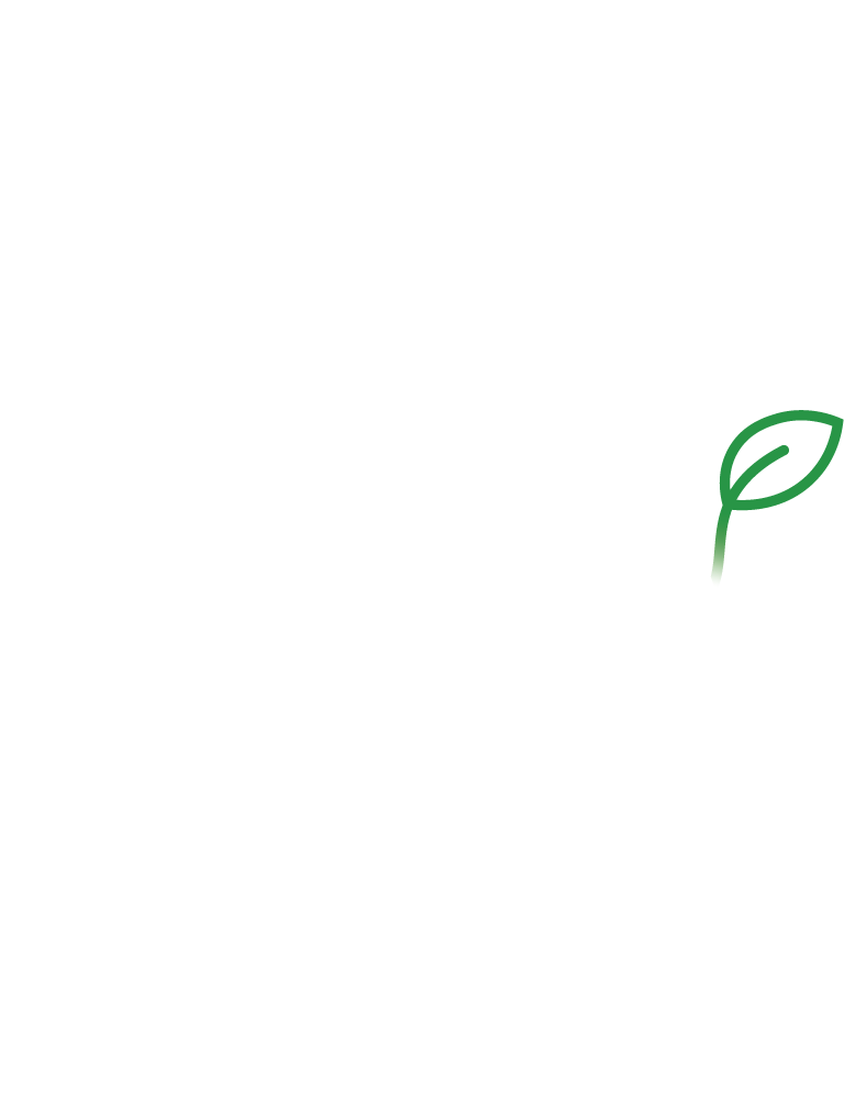 京葉夜間どうぶつ病院